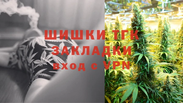 стаф Арсеньев